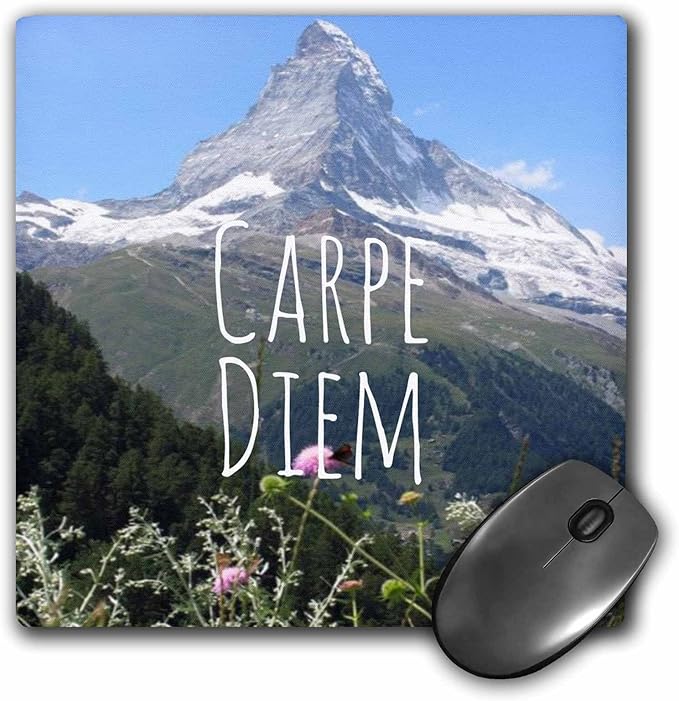 3drose carpe diem - seize the day inspiring words - 励志文字